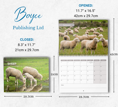 Sheep Calendar 2027
