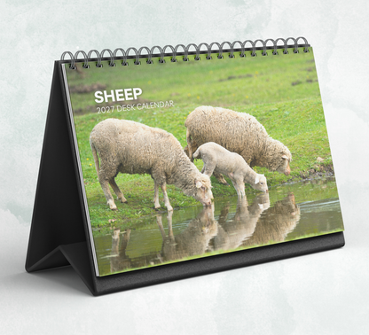 Sheep Desk Calendar 2027-2028