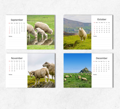 Sheep Desk Calendar 2027-2028