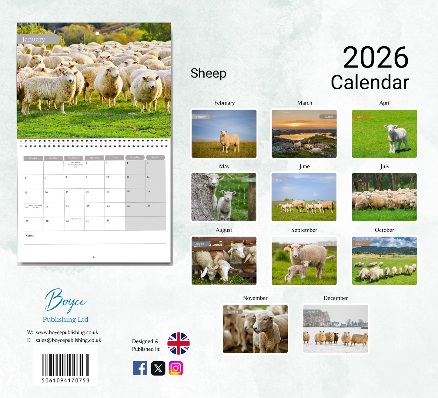 Sheep Calendar 2026