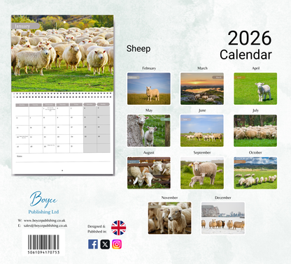 Sheep Calendar 2026