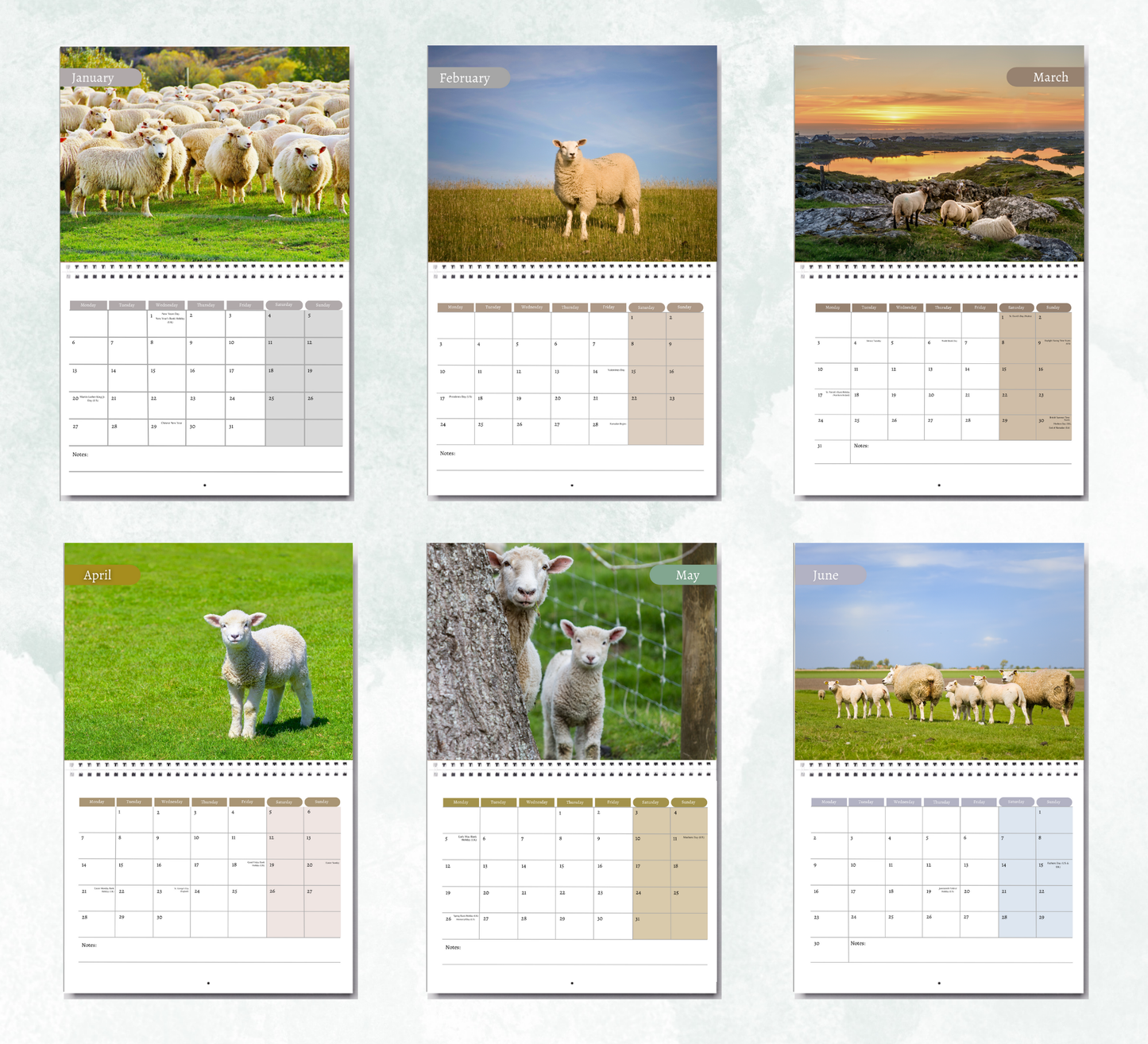 Sheep Calendar 2026