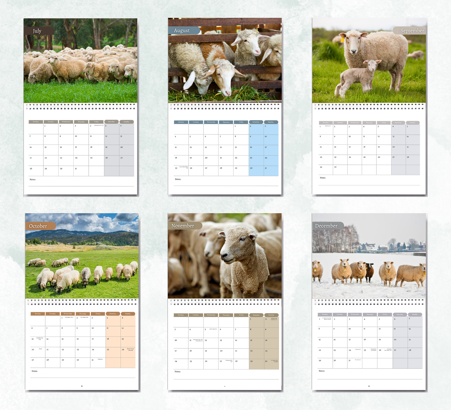 Sheep Calendar 2026