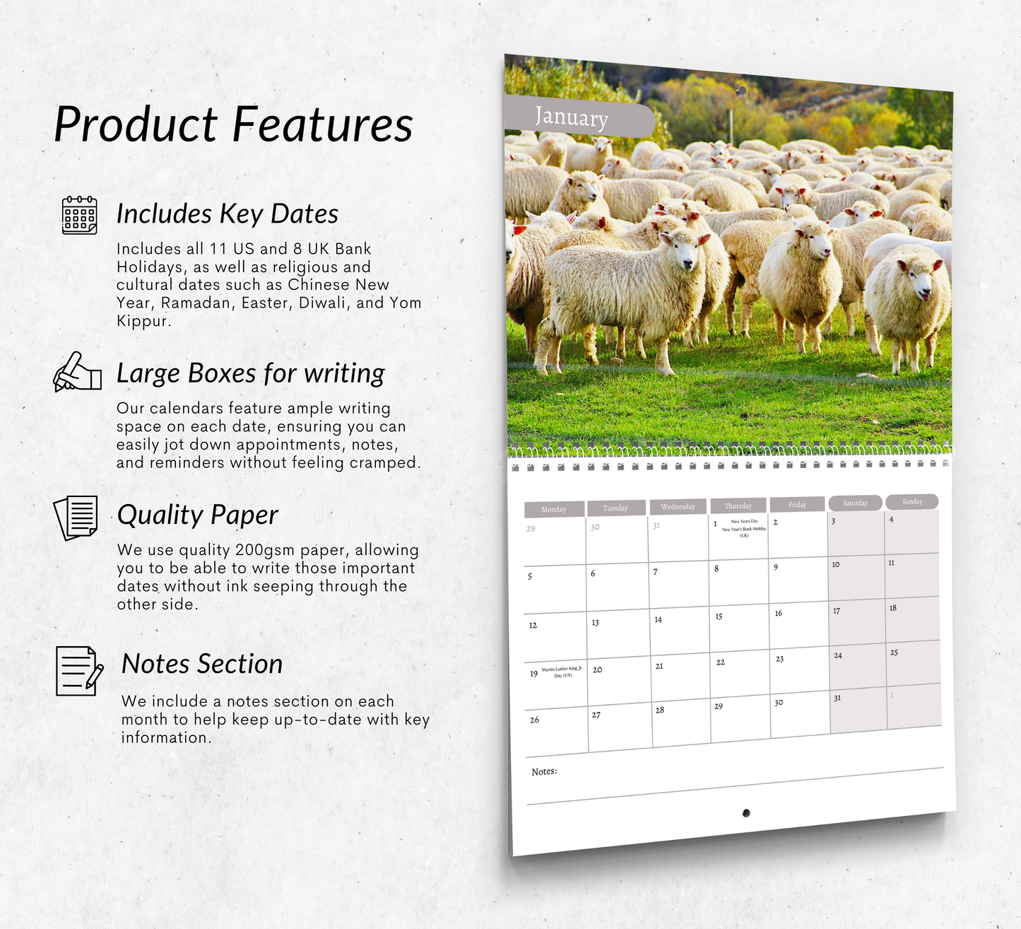 Sheep Calendar 2026