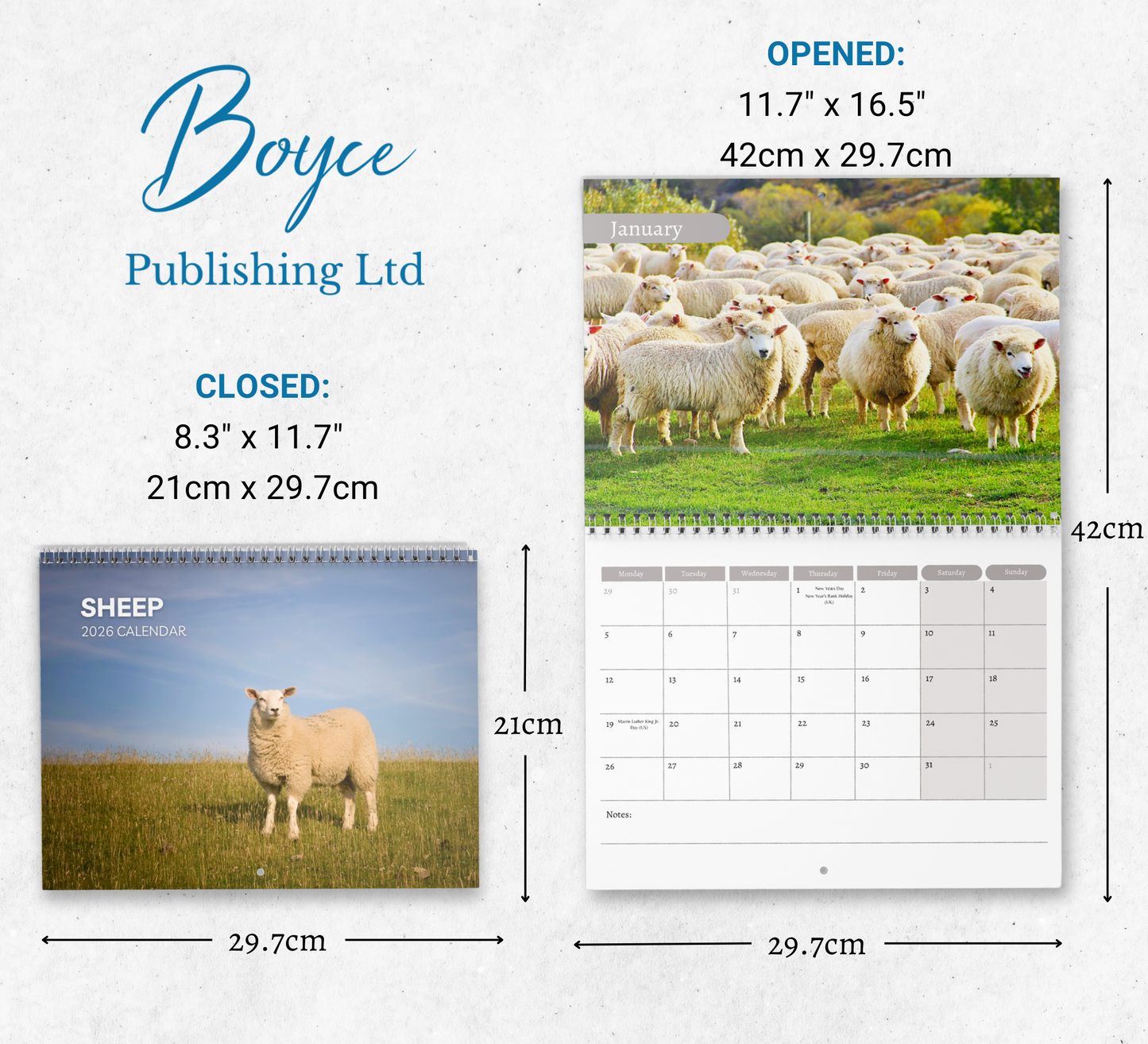 Sheep Calendar 2026