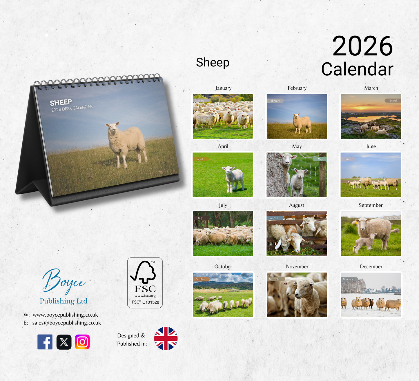 Sheep Desk Calendar 2026-2027