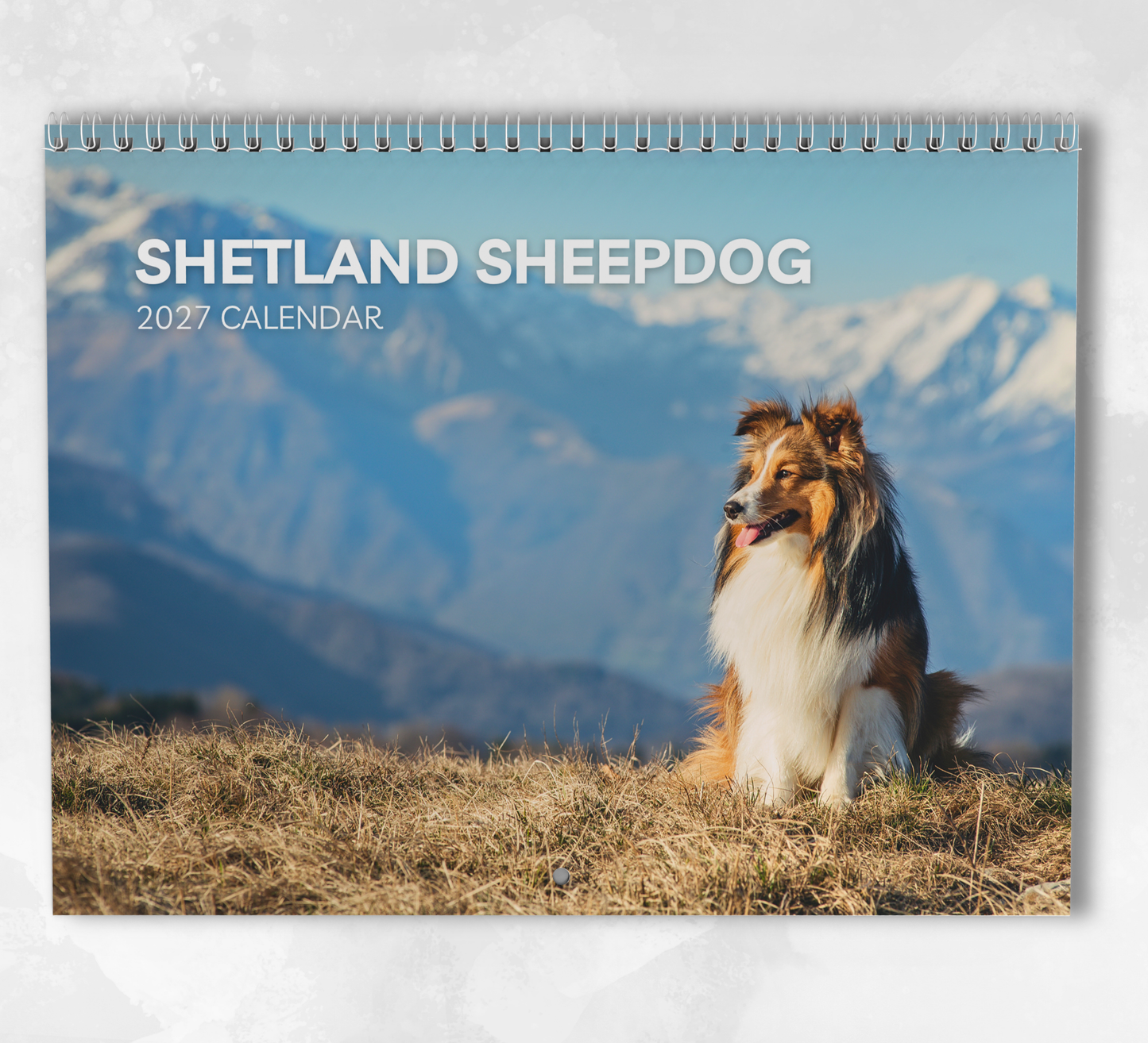 Shetland Sheepdog Calendar 2027