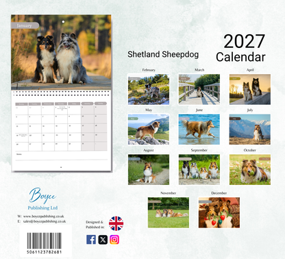 Shetland Sheepdog Calendar 2027