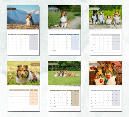 Shetland Sheepdog Calendar 2027