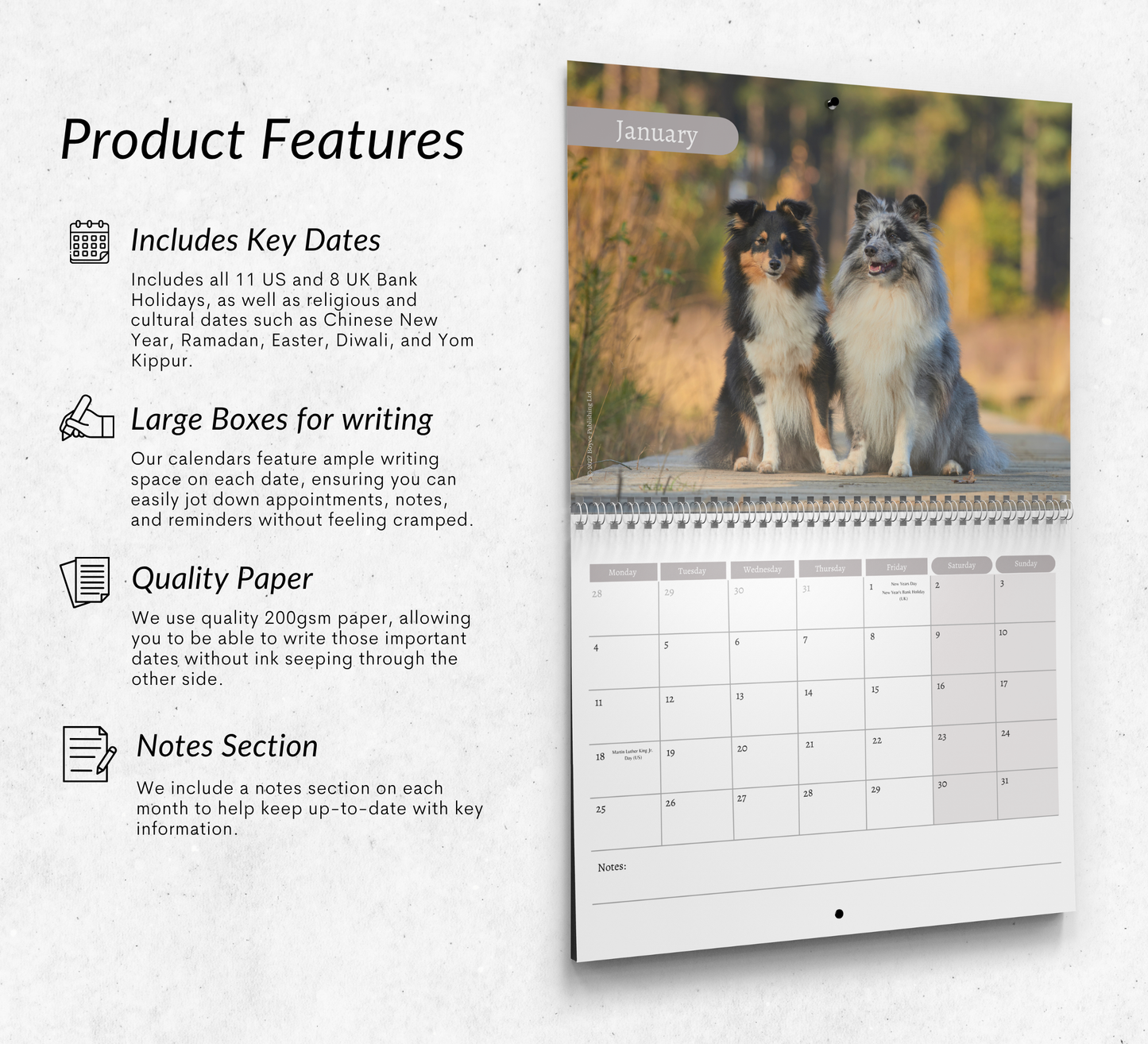 Shetland Sheepdog Calendar 2027