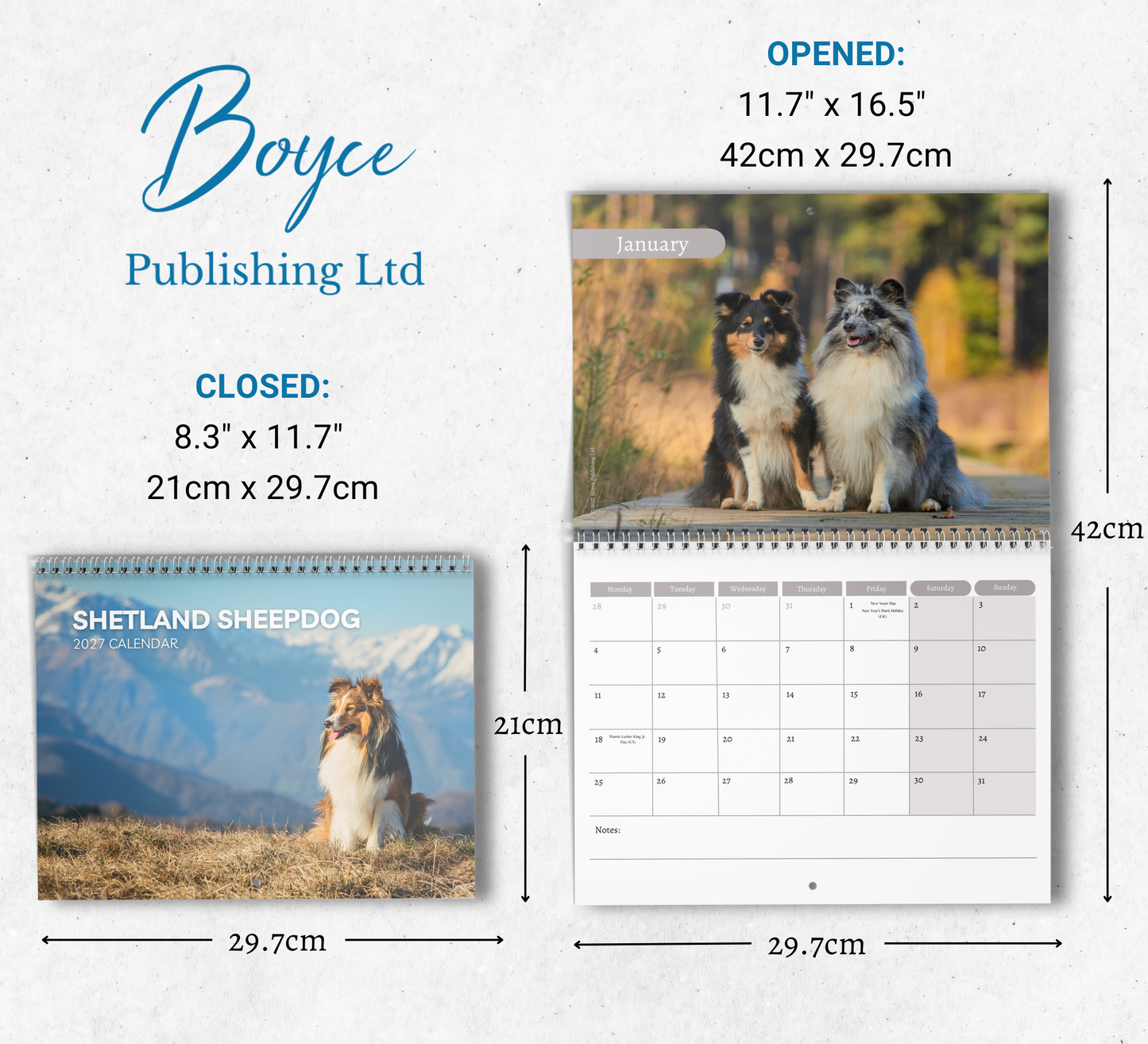 Shetland Sheepdog Calendar 2027