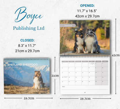 Shetland Sheepdog Calendar 2027