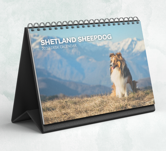 Shetland Sheepdog Desk Calendar 2027-2028