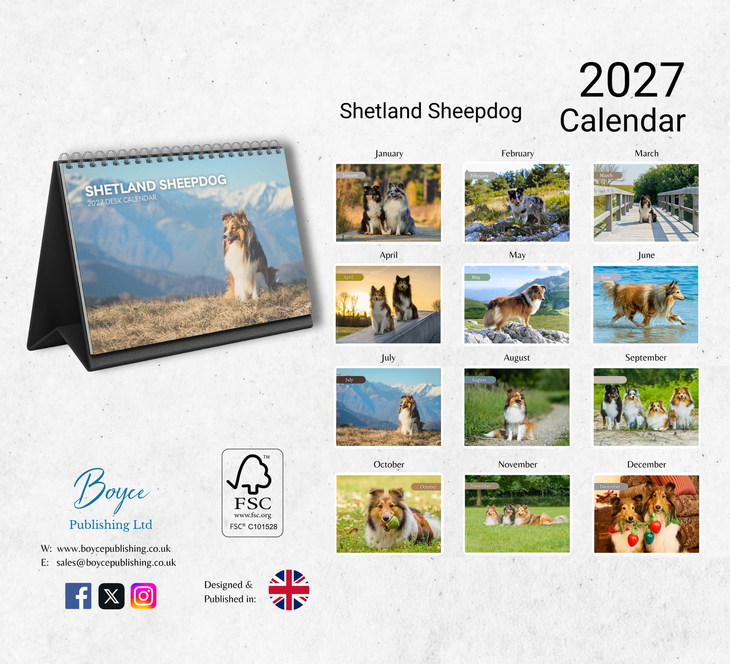 Shetland Sheepdog Desk Calendar 2027-2028