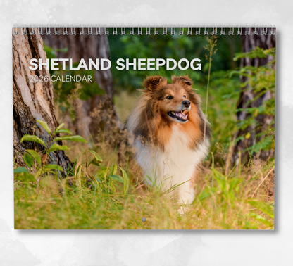 Shetland Sheepdog Calendar 2026