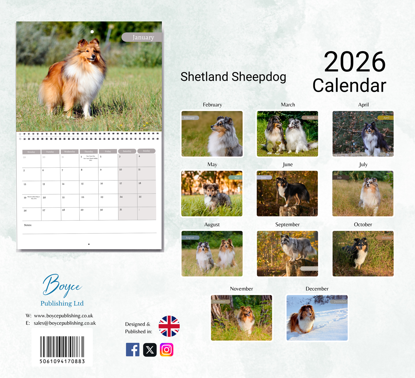 Shetland Sheepdog Calendar 2026