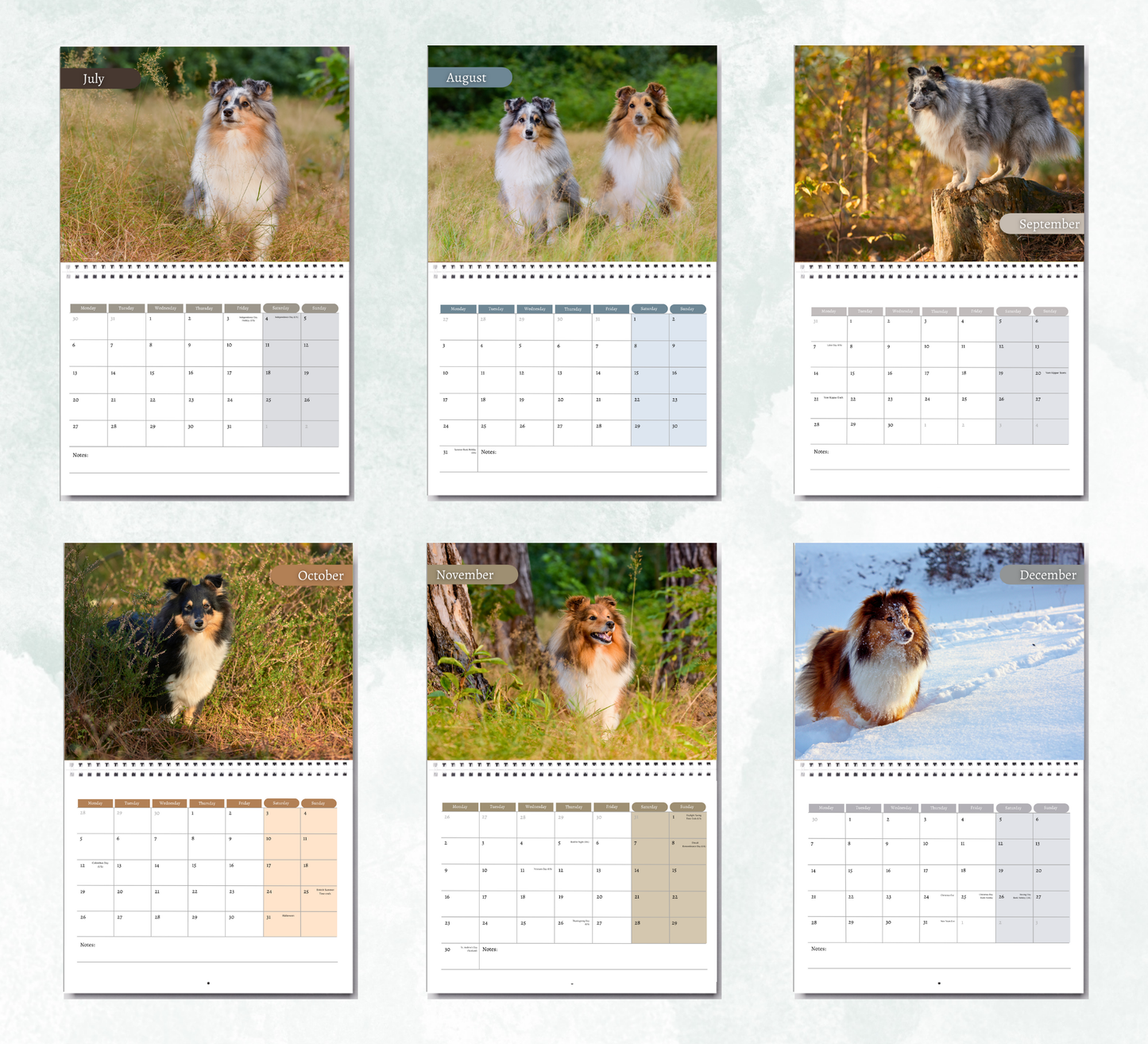 Shetland Sheepdog Calendar 2026