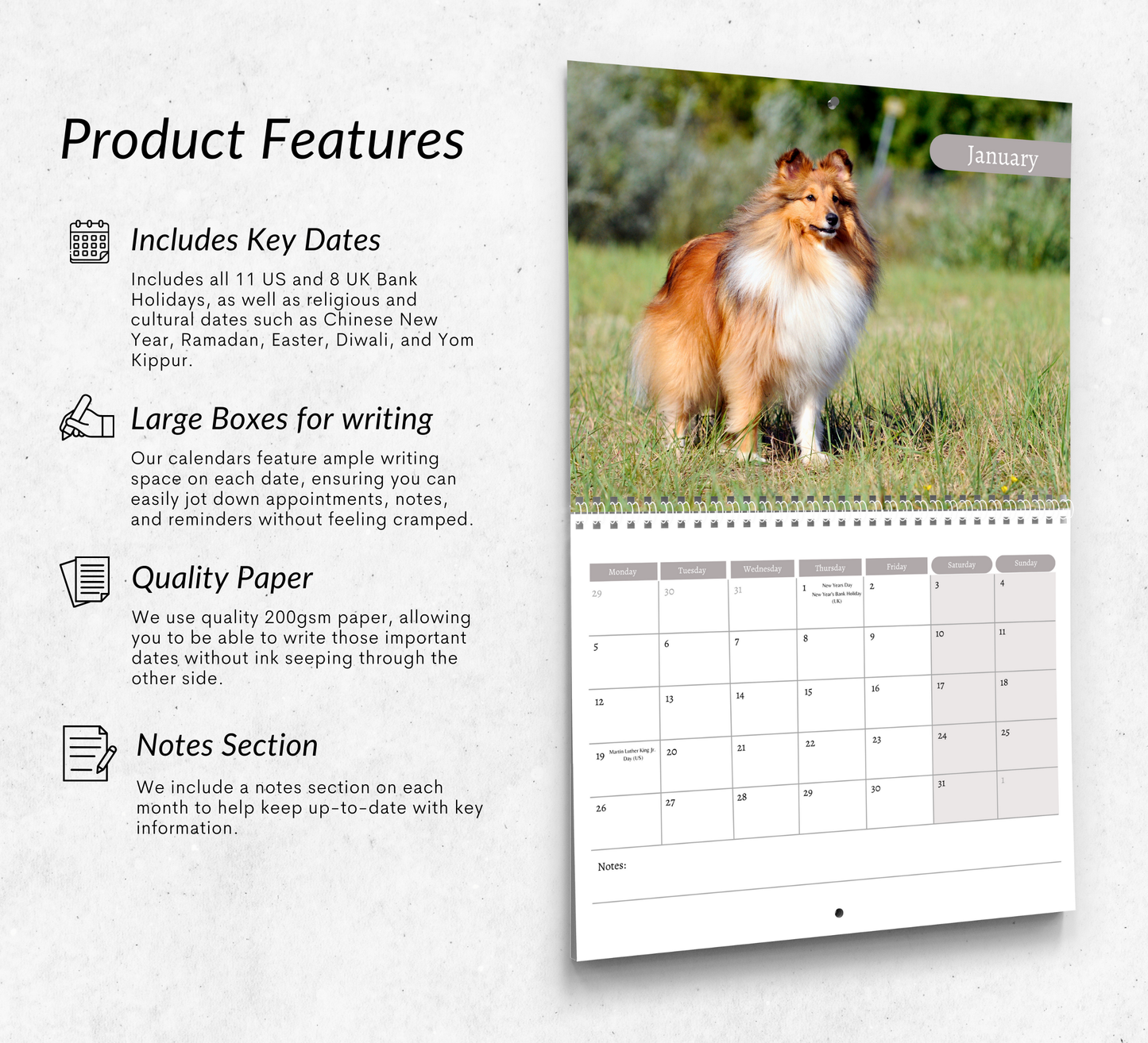Shetland Sheepdog Calendar 2026