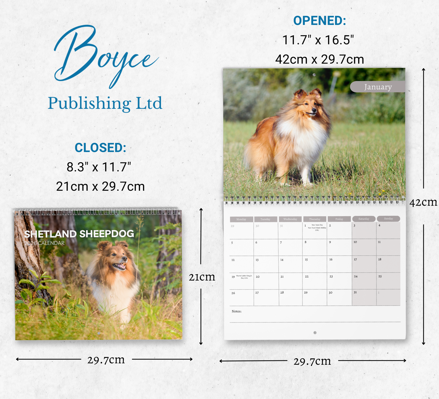 Shetland Sheepdog Calendar 2026
