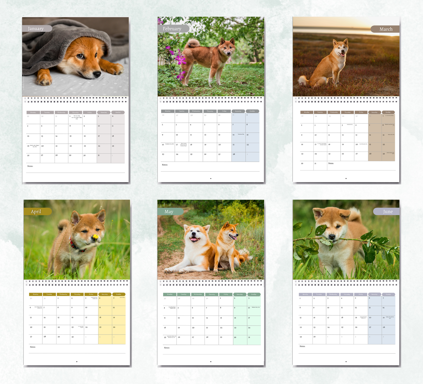 Shiba Inu Calendar 2027