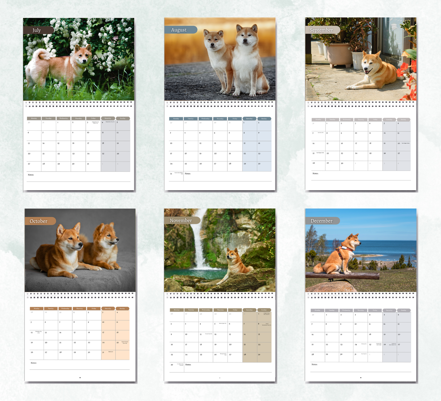 Shiba Inu Calendar 2027