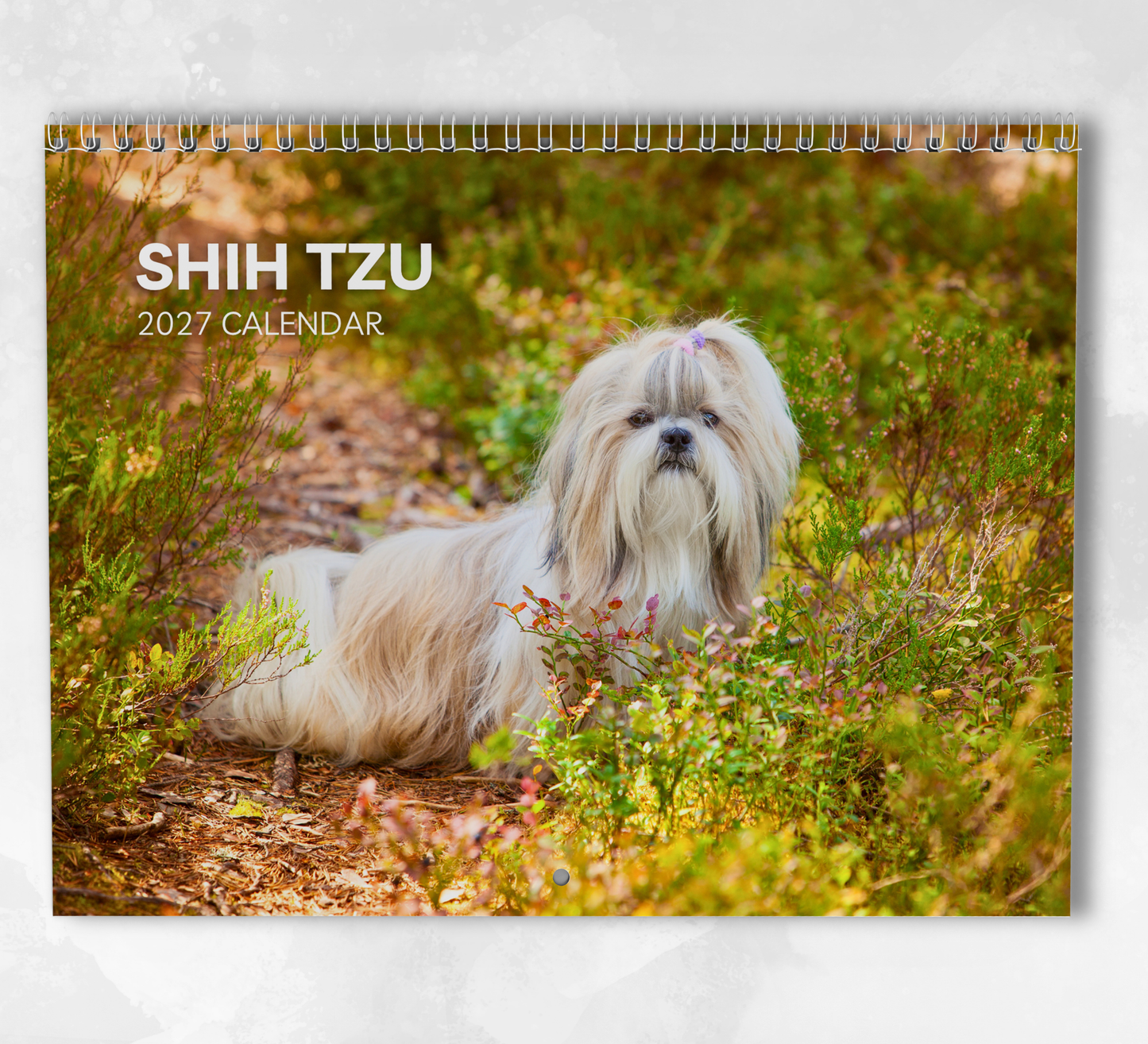Shih Tzu Calendar 2027