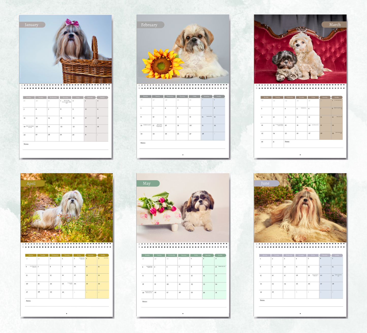 Shih Tzu Calendar 2027