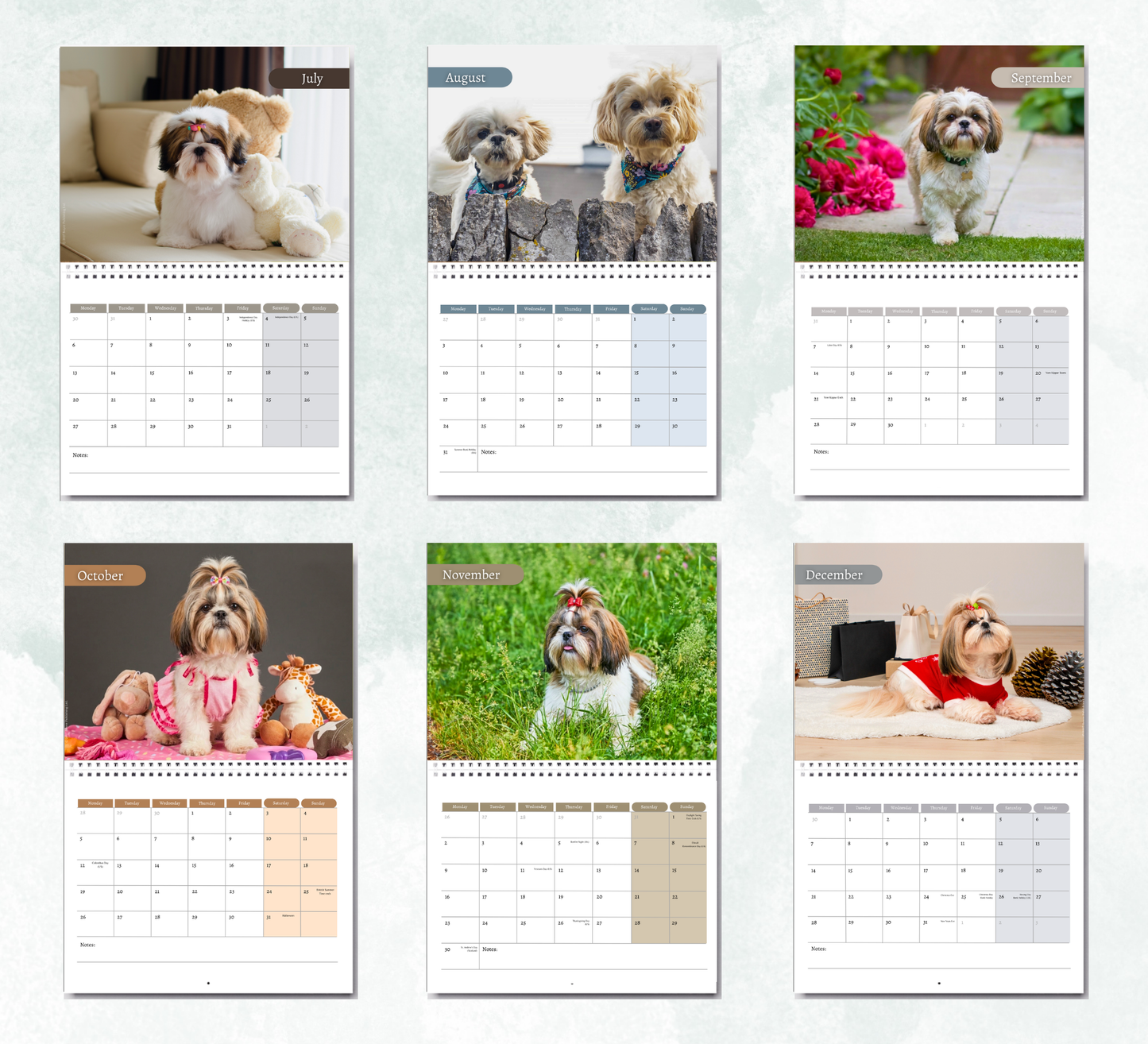 Shih Tzu Calendar 2027
