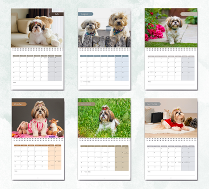 Shih Tzu Calendar 2027