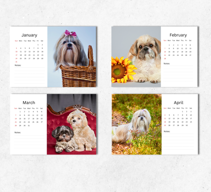 Shih Tzu Desk Calendar 2027-2028