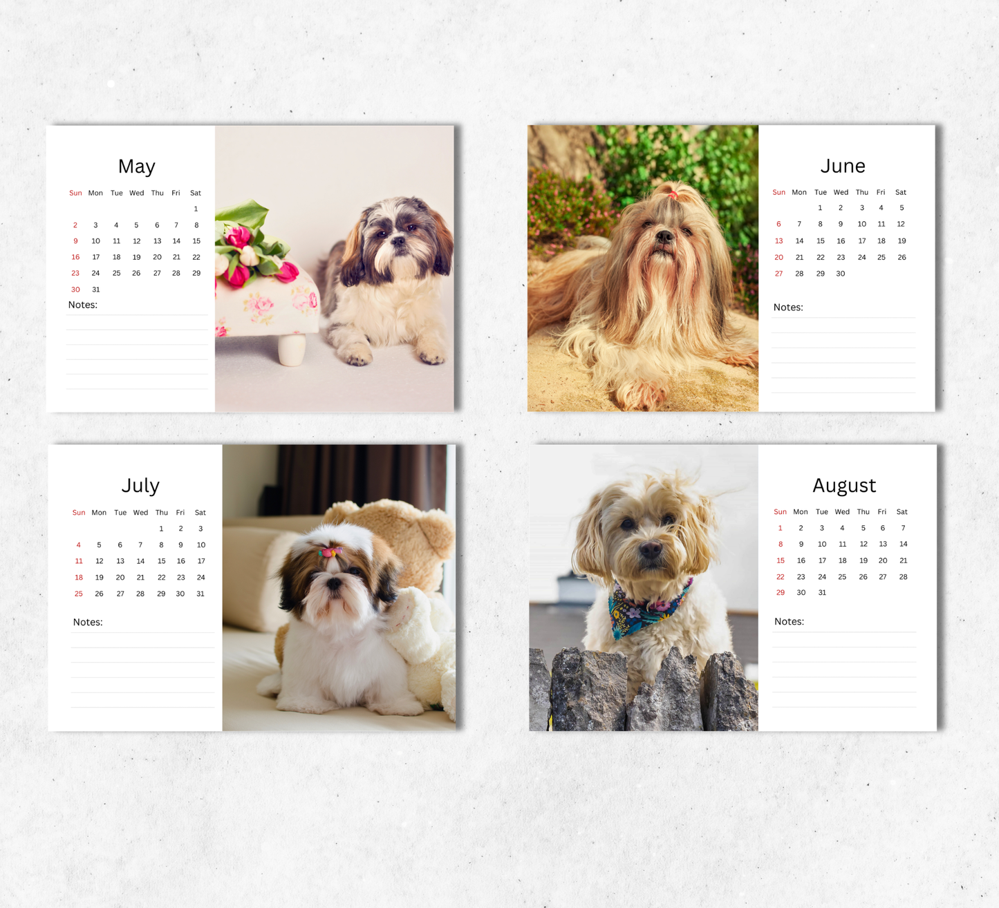 Shih Tzu Desk Calendar 2027-2028