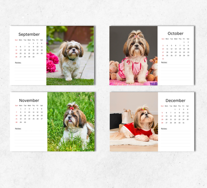 Shih Tzu Desk Calendar 2027-2028