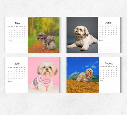 Shih Tzu Desk Calendar 2026-2027
