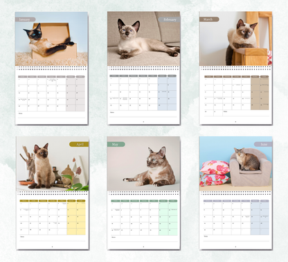 Siamese Cat Calendar 2027