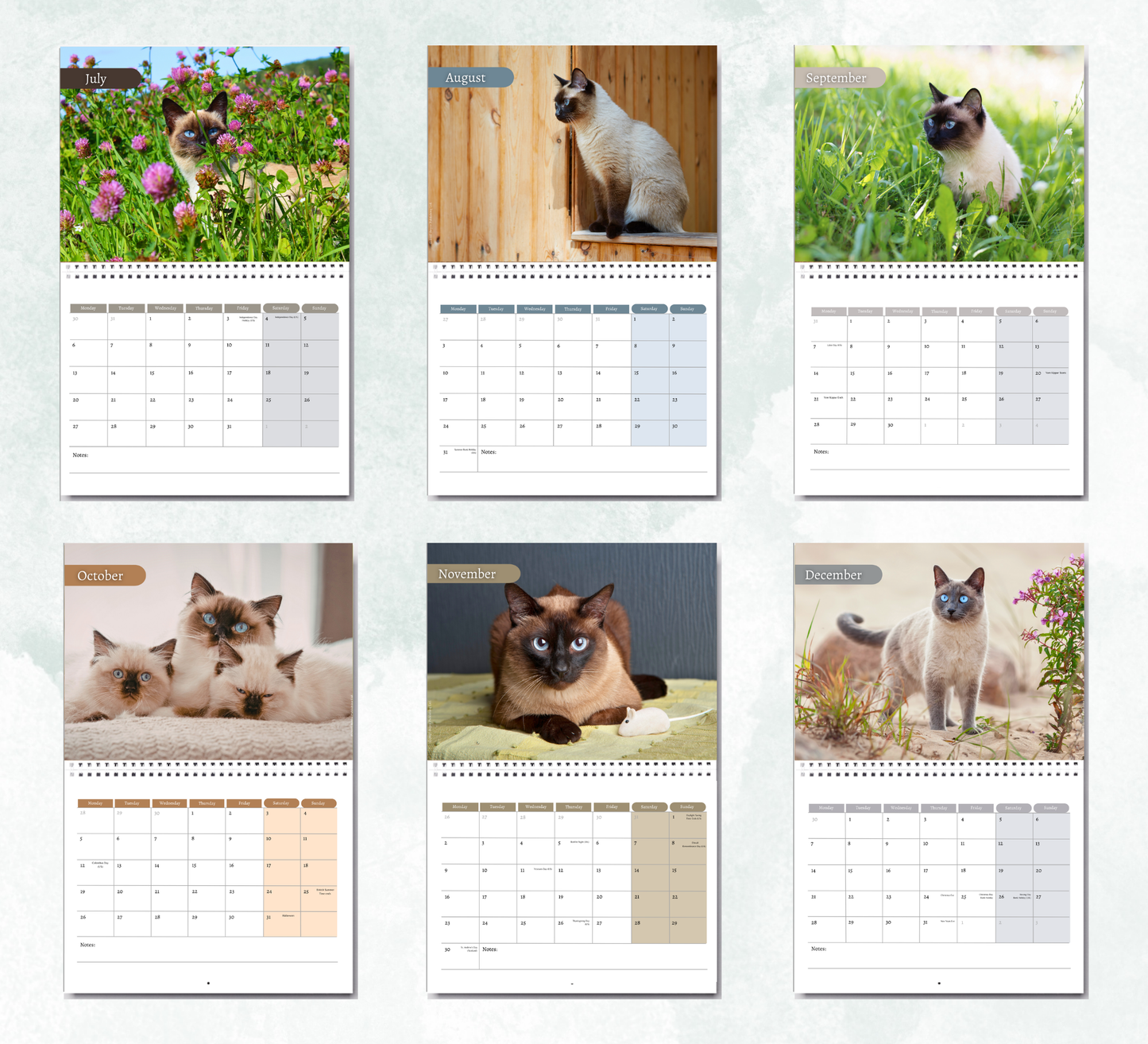 Siamese Cat Calendar 2027