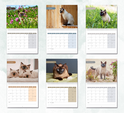 Siamese Cat Calendar 2027
