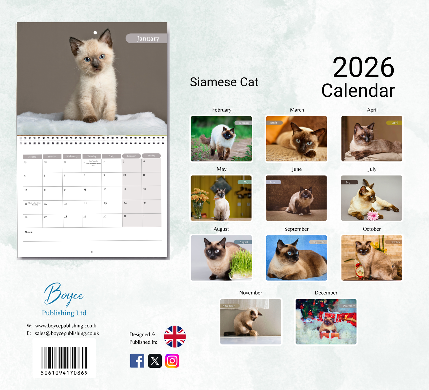 Siamese Cat Calendar 2026