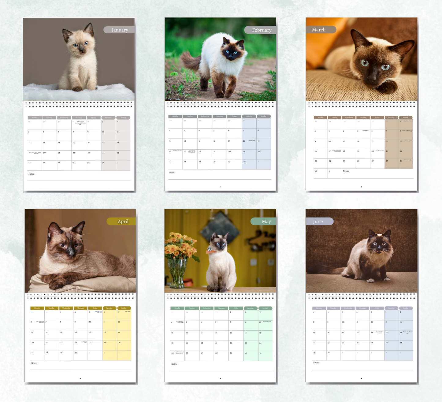 Siamese Cat Calendar 2026