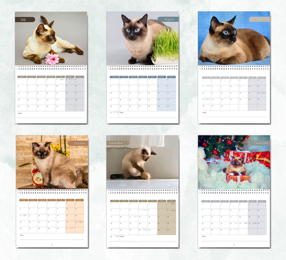 Siamese Cat Calendar 2026