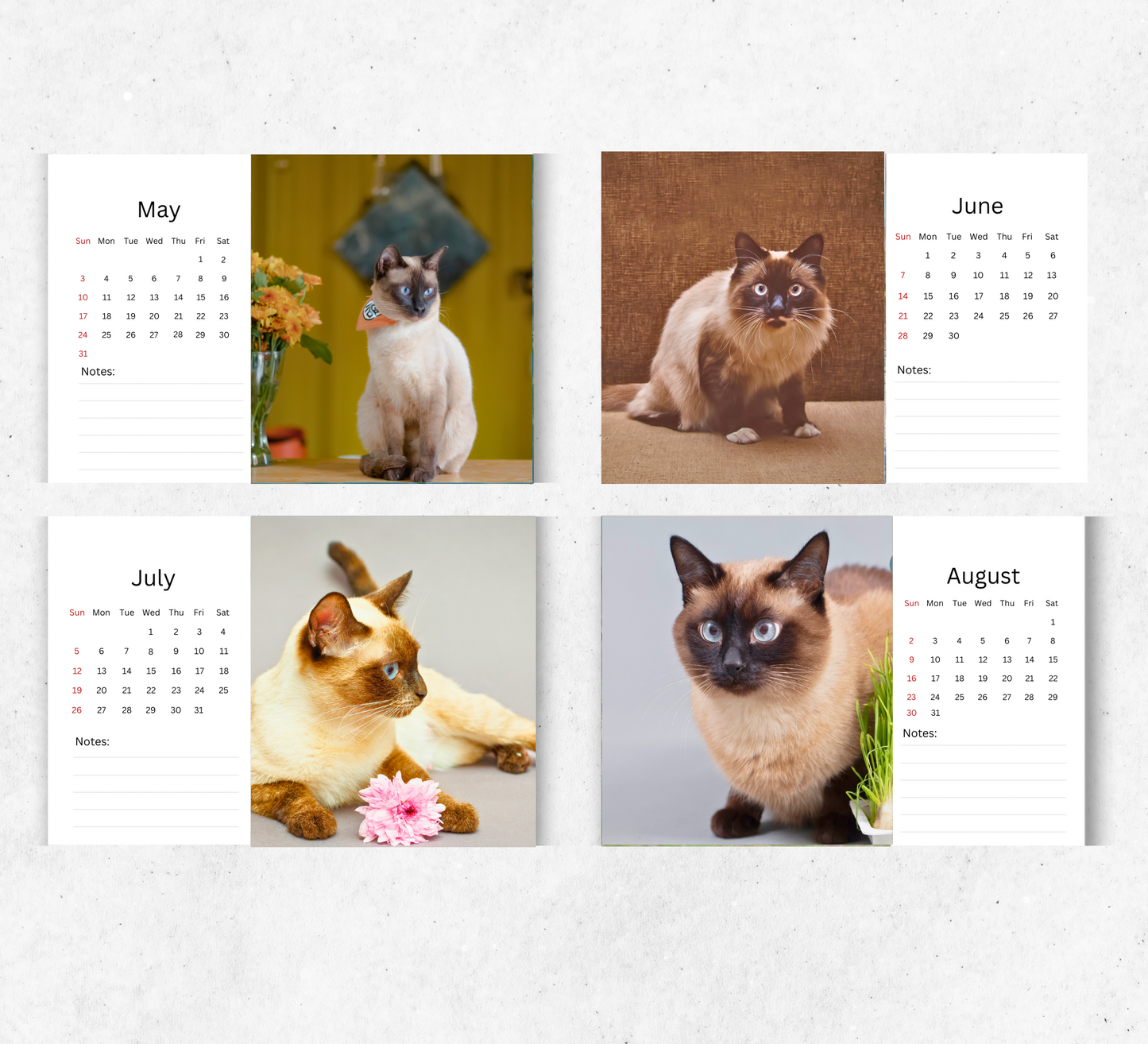 Siamese Cat Desk Calendar 2026-2027