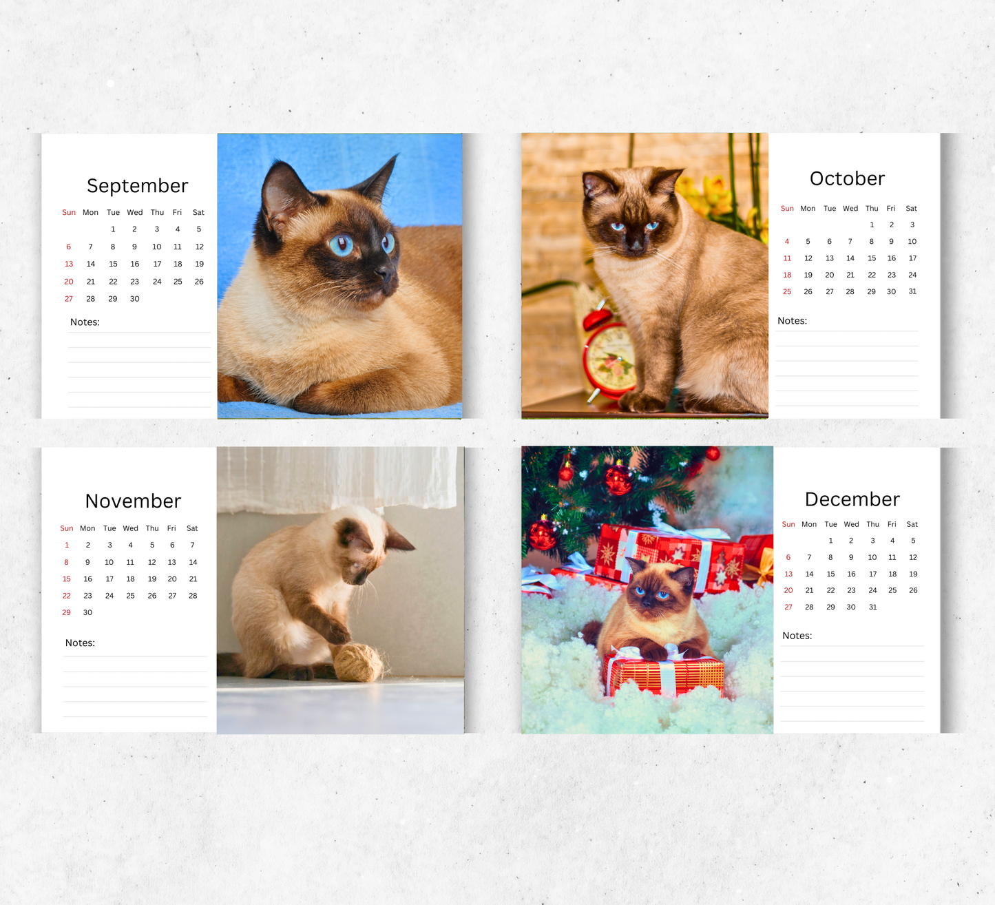 Siamese Cat Desk Calendar 2026-2027