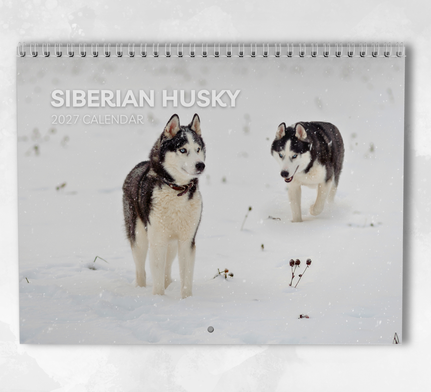 Siberian Husky Calendar 2027