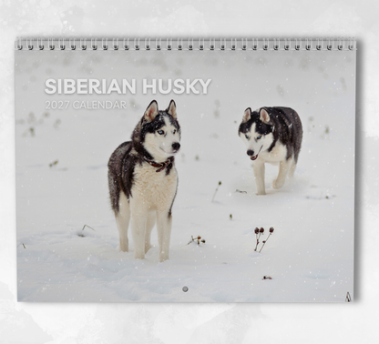 Siberian Husky Calendar 2027