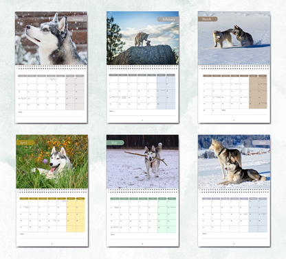 Siberian Husky Calendar 2027