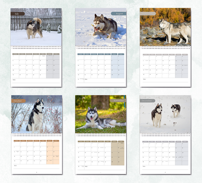 Siberian Husky Calendar 2027