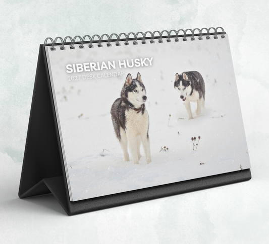 Siberian Husky Desk Calendar 2027-2028
