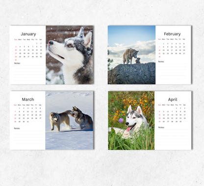 Siberian Husky Desk Calendar 2027-2028