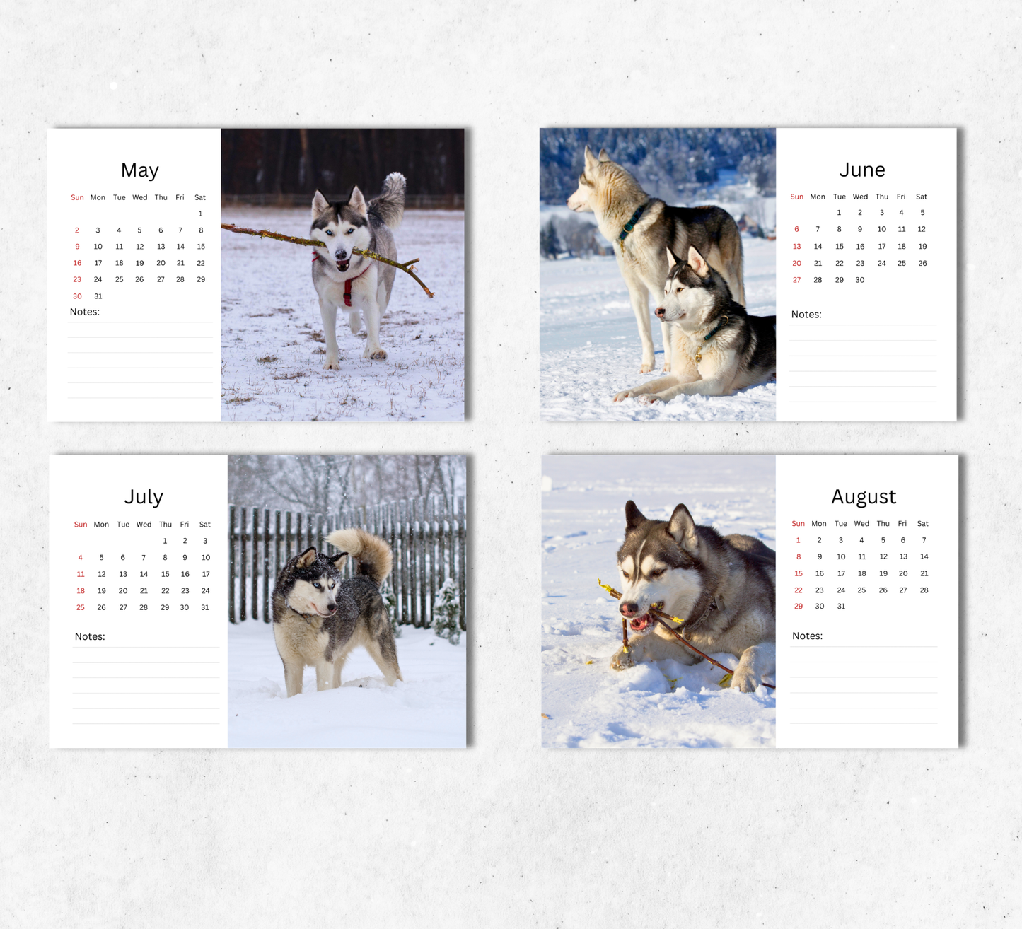 Siberian Husky Desk Calendar 2027-2028