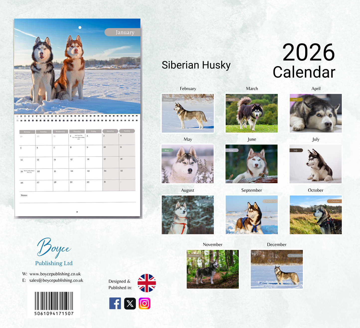 Siberian Husky Calendar 2026
