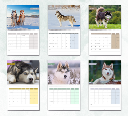 Siberian Husky Calendar 2026